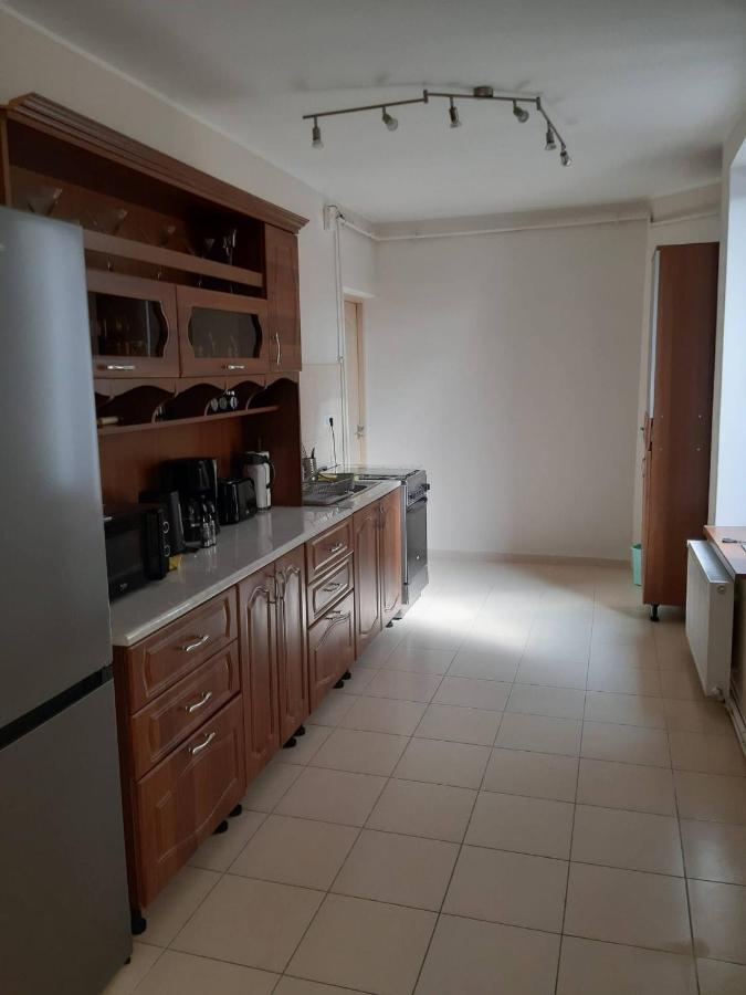 Villa La Pablito à Mediaş Extérieur photo
