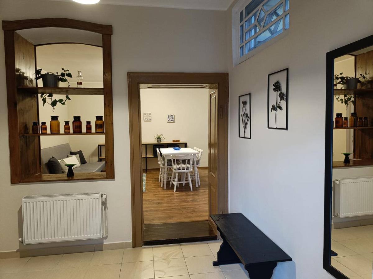 Villa La Pablito à Mediaş Extérieur photo