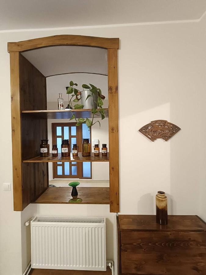 Villa La Pablito à Mediaş Extérieur photo